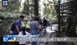 泥潭老哥爆料事件视频播放,揭秘事件背后真相