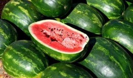 网暴网红吃瓜图片大全,网红吃瓜图片大全背后的真相与反思