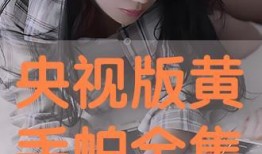 黄手帕国语版在线观看,重温经典温情瞬间