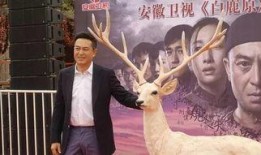 安微卫视直播在线观看白鹿原,白鹿原精彩剧情实时呈现