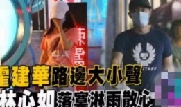 大仙爆料吵架视频大全集,吵架视频大全集精彩回顾