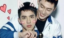 上瘾完整版在线观看,深度解析成瘾现象背后的心理与机制