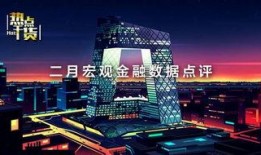 河南都市爆料双新新闻,双新新闻聚焦创新与发展
