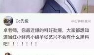 卓伟最新爆料在哪里看,揭秘事件幕后真相，独家追踪报道
