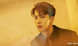 天涯真实爆料王嘉尔视频,天涯爆料视频背后的真实故事