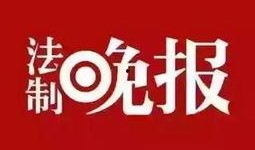 新闻爆料规则,如何确保信息真实、准确、及时