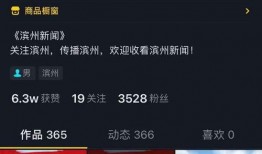 抖音新闻爆料号是什么,揭秘真相背后的秘密