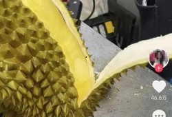 榴莲爆料视频在线观看,揭秘网络红人幕后真相