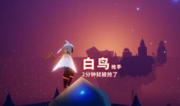 光遇最新爆料染色