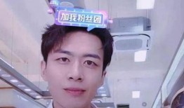 席鑫网友爆料事件真相视频,真相视频曝光背后的真相