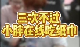 白鲨爆料小胖视频在线观看,小胖视频在线观看背后的故事