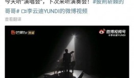 网友爆料李云迪视频,网友爆料引发舆论风暴