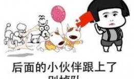 吃瓜娱乐大八卦,揭秘吃瓜群众的狂欢盛宴