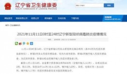 大连最新爆料,揭秘城市新动向与热点事件