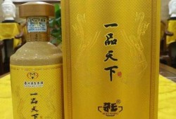 一品天下酒最新价格爆料,品质与价值的完美融合