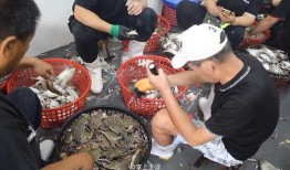 天津水产爆料事件视频,揭露水产市场惊人内幕
