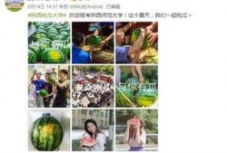 高校吃瓜爆料最新,揭秘校园里的那些“吃瓜”事件