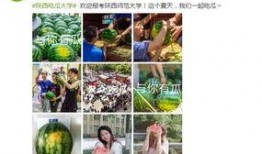 高校吃瓜爆料最新,揭秘校园里的那些“吃瓜”事件