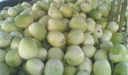 河北新瓜最新爆料,揭秘背后惊人真相