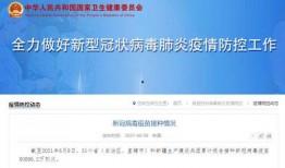 一般爆料视频在什么网站,网站生成背后的秘密解析