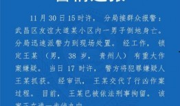 今日武汉最新爆料,揭秘城市动态与热点事件