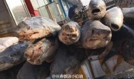 天津水产爆料事件视频,揭露水产市场惊人内幕