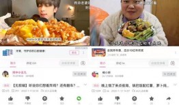 小菜朋友爆料视频大全集,揭秘幕后真相，带你领略网络风云