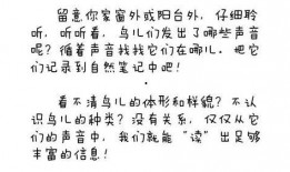 我在吃瓜看戏小说免费阅读