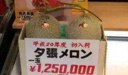娱乐吃瓜场地,这里是明星八卦的聚集地