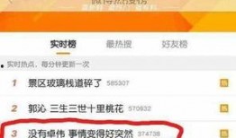 卓伟爆料张颖案件视频,张颖案件背后惊人内幕