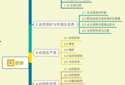 七彩星城爆料视频大全集,揭秘城市魅力与生活点滴