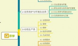 七彩星城爆料视频大全集,揭秘城市魅力与生活点滴