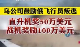 乌克兰飞机爆料视频播放,惊心动魄的空中惊魂时刻
