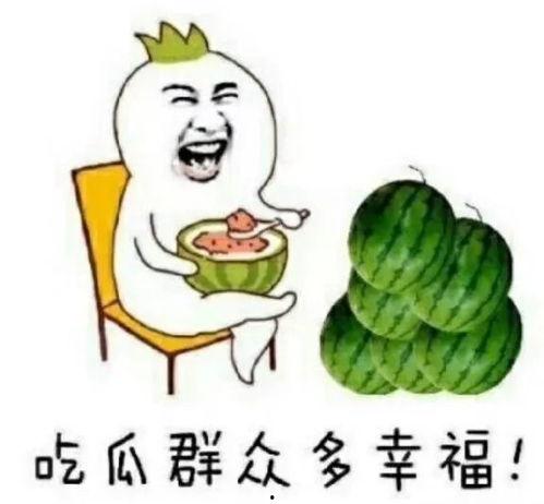 吃瓜娱乐猪,揭秘娱乐圈背后的趣味故事